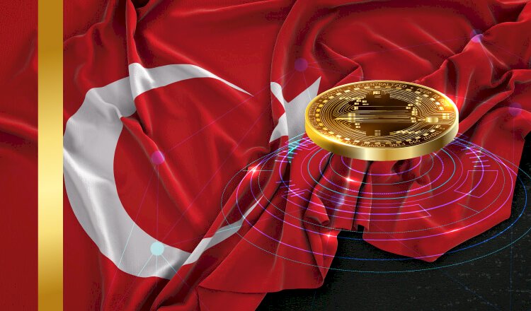 Turkey's National Digital Currency in 2021