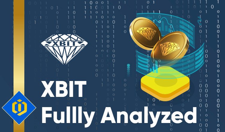 Xbit Fully Analyzed