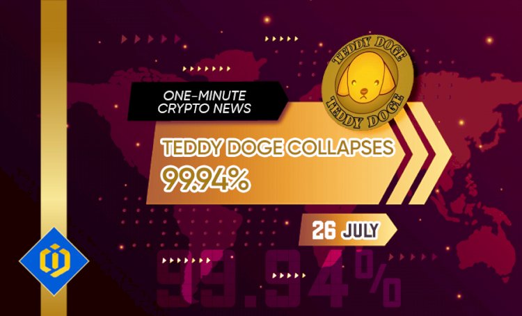 TEDDY Doge Collapses 99.94%