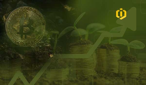 Will Bitcoin Bloom Again?