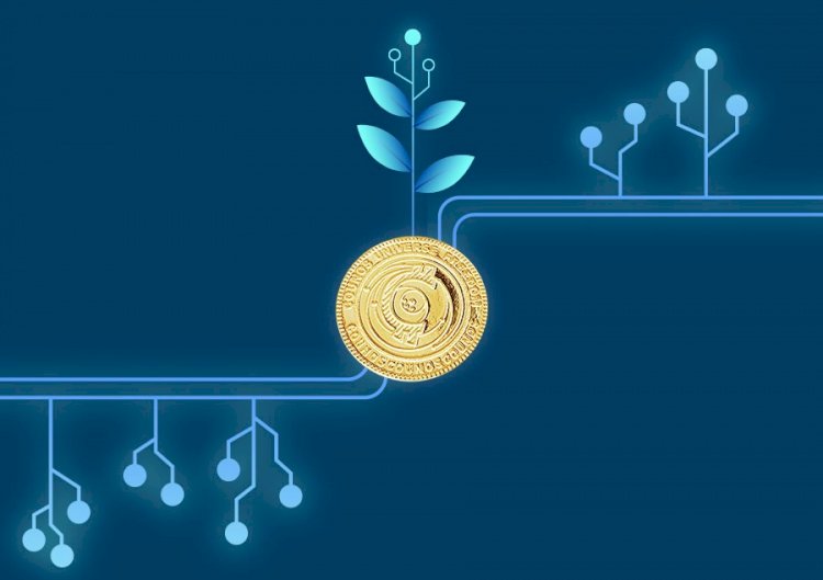 Counos Review: A Complete Crypto Ecosystem for Individuals and Businesses